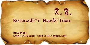 Koleszár Napóleon névjegykártya